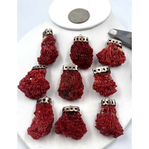 COPY - Natural Red Pipe Coral Pendant 925 Starling Silver Cape Buyer Will Get 1… - Picture 1 of 9